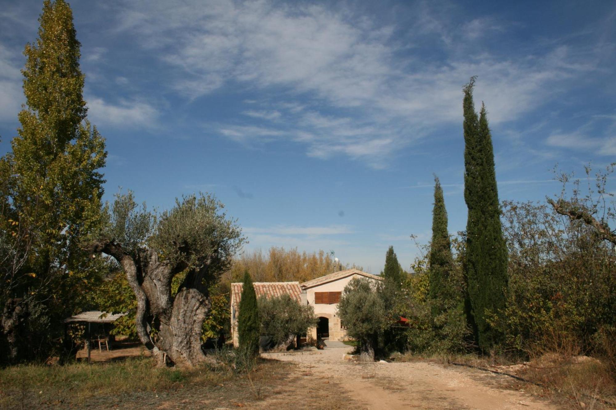 Gasthaus Maset Del Riu Valderrobres Exterior foto