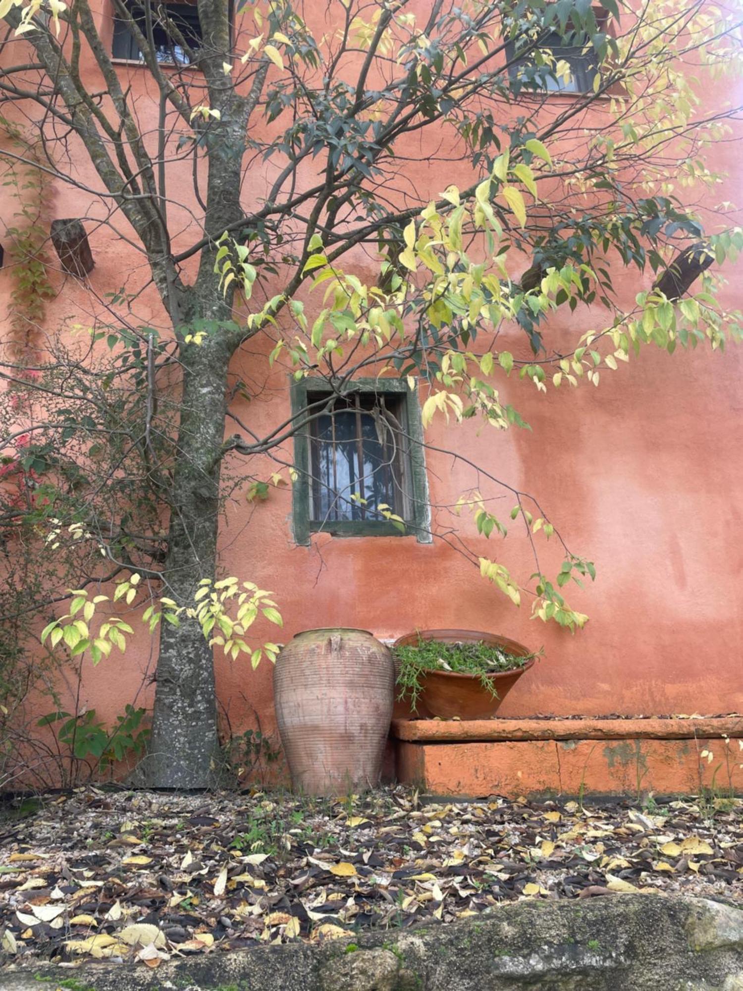 Gasthaus Maset Del Riu Valderrobres Exterior foto